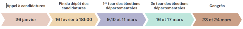 elections départementales